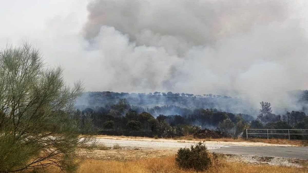 Un incendio forestal en Lozoyuela obliga a confinar varias localidades de la sierra de Madrid