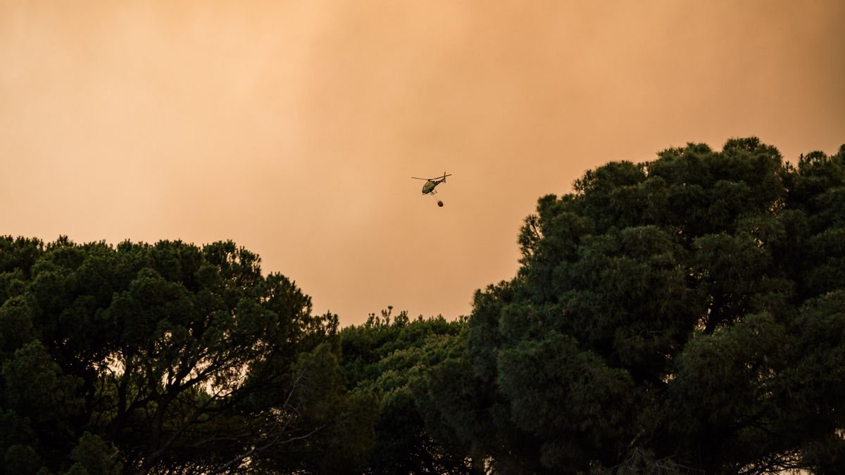 El viento complica la extinción de los tres incendios que amenazan Madrid con más de 10.000 evacuados