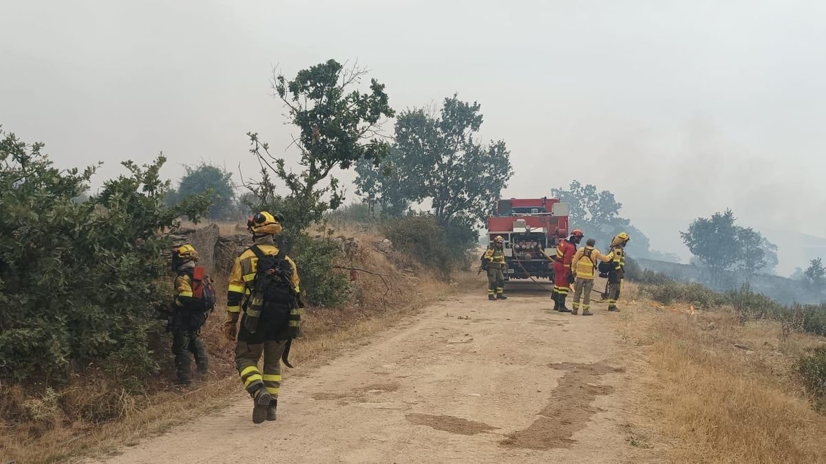 España y Argentina se disputan la final del Mundial 2026 en medio de la devastación por incendio en Guadalajara