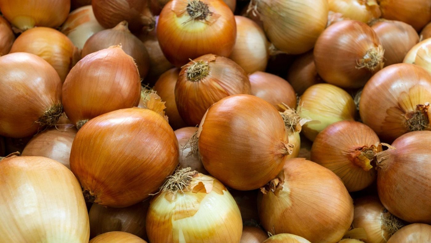 Un agricultor de Sevilla abre su finca y regala 200 toneladas de cebollas porque le pagan 0,13€ por kilo y le cuesta más recogerlas que venderlas