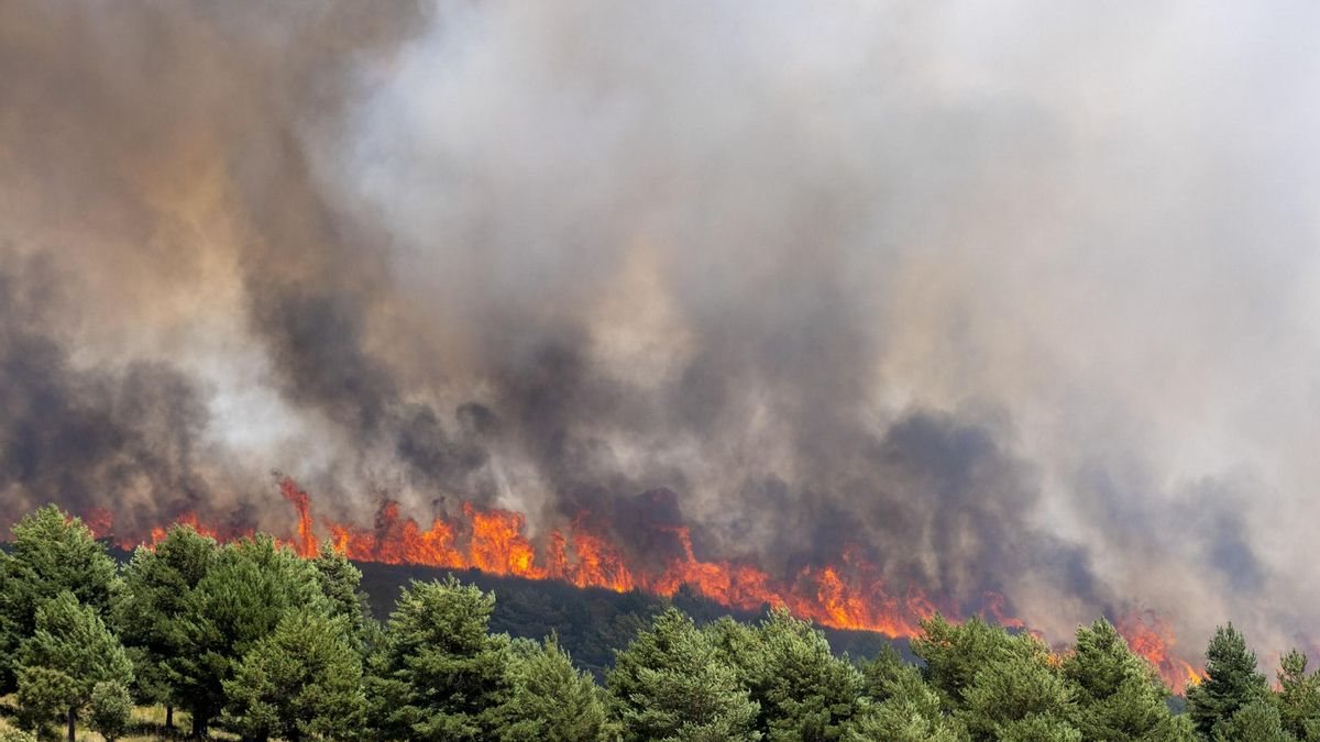 El incendio de La Mierla supera las 27.000 hectáreas y obliga a evacuar pueblos en Soria